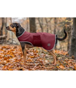 sugar dog Manteau de randonnée softshell pour chien Athlete, 0 g cranberry Best