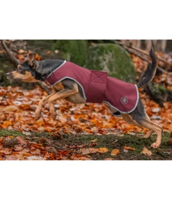 sugar dog Manteau de randonnée softshell pour chien Athlete, 0 g cranberry Best