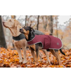 sugar dog Manteau de randonnée softshell pour chien Athlete, 0 g cranberry Best
