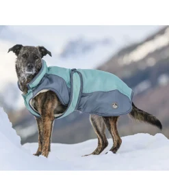 sugar dog Manteau d'hiver pour chien avec doublure en polaire Teddy, 100 g Glacier Bay bleu fumée Sale