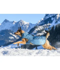 sugar dog Manteau d'hiver pour chien avec doublure en polaire Teddy, 100 g Glacier Bay aquamarine Clearance