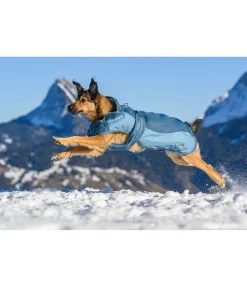 sugar dog Manteau d'hiver pour chien avec doublure en polaire Teddy, 100 g Glacier Bay aquamarine Clearance