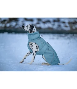 sugar dog Manteau d'hiver pour chien Wonderland, 140 g aqua clair Hot