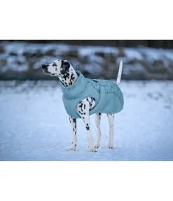 sugar dog Manteau d'hiver pour chien Wonderland, 140 g aqua clair Hot