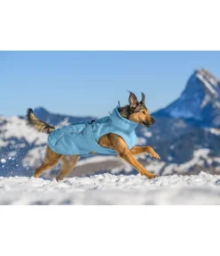 sugar dog Manteau d'hiver pour chien Wonderland, 140 g aqua clair Hot