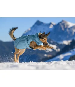 sugar dog Manteau d'hiver pour chien Wonderland, 140 g aqua clair Hot