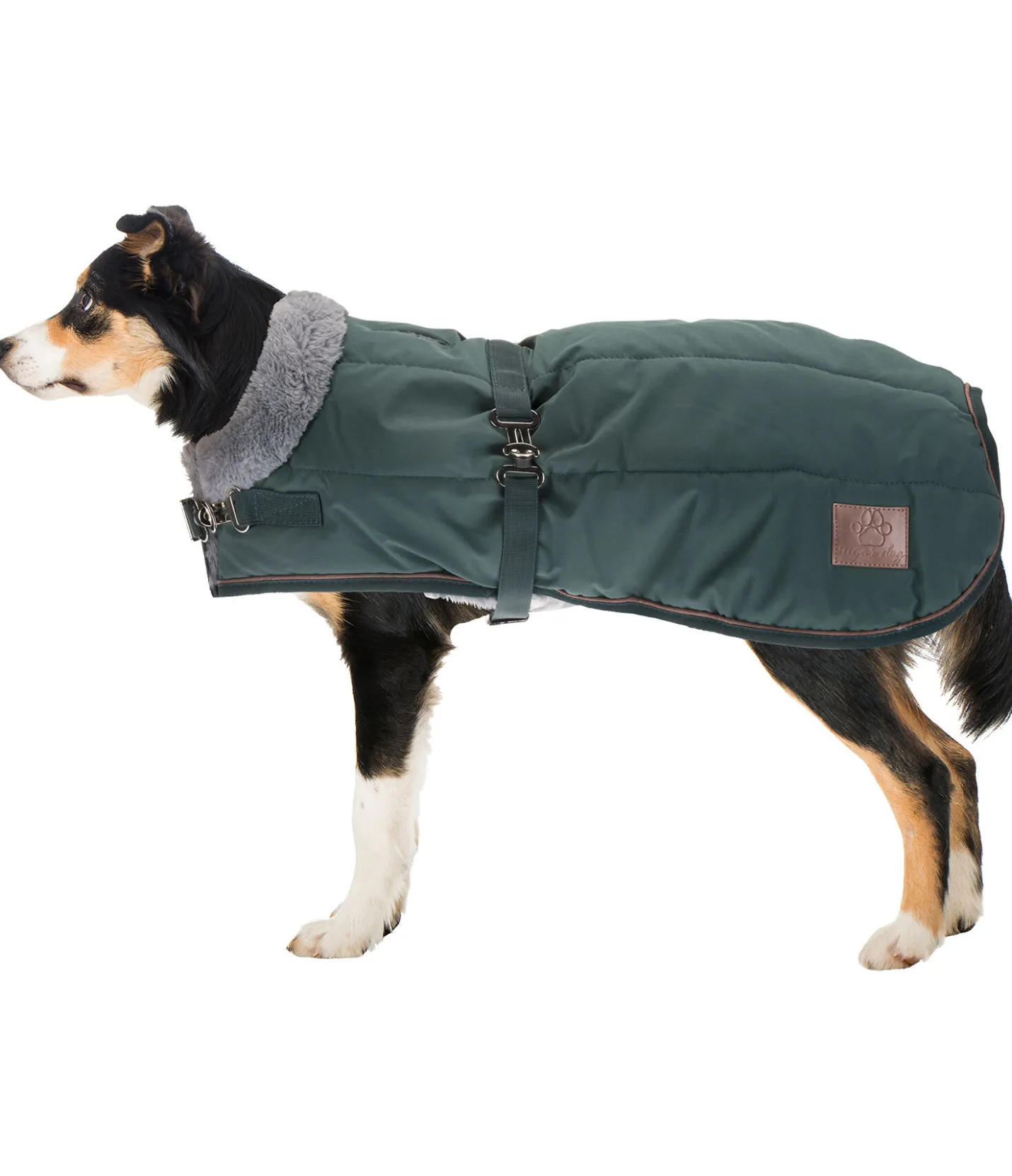 sugar dog Manteau d'hiver pour chien avec doublure en fourrure Teddy Gizmo, 200 g thé vert Clearance