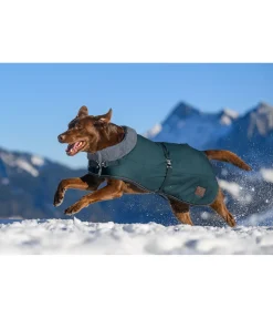 sugar dog Manteau d'hiver pour chien avec doublure en fourrure Teddy Gizmo, 200 g thé vert Clearance