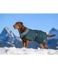 sugar dog Manteau d'hiver pour chien avec doublure en fourrure Teddy Gizmo, 200 g thé vert Clearance