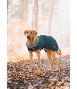 sugar dog Manteau d'hiver pour chien avec doublure en fourrure Teddy Gizmo, 200 g thé vert Clearance