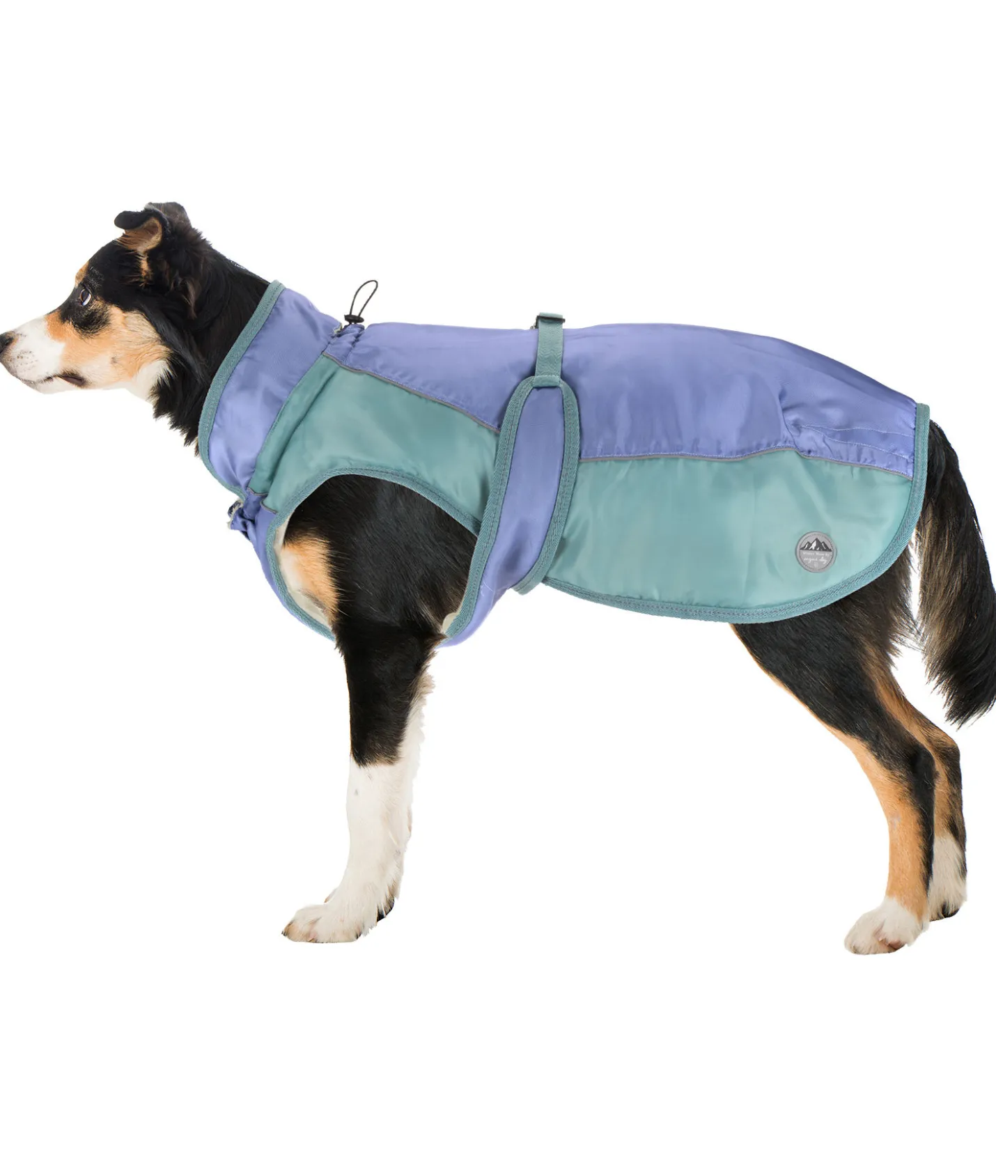 sugar dog Manteau d'hiver pour chien avec doublure en polaire Teddy, 100 g Glacier Bay bleu atlantique Sale