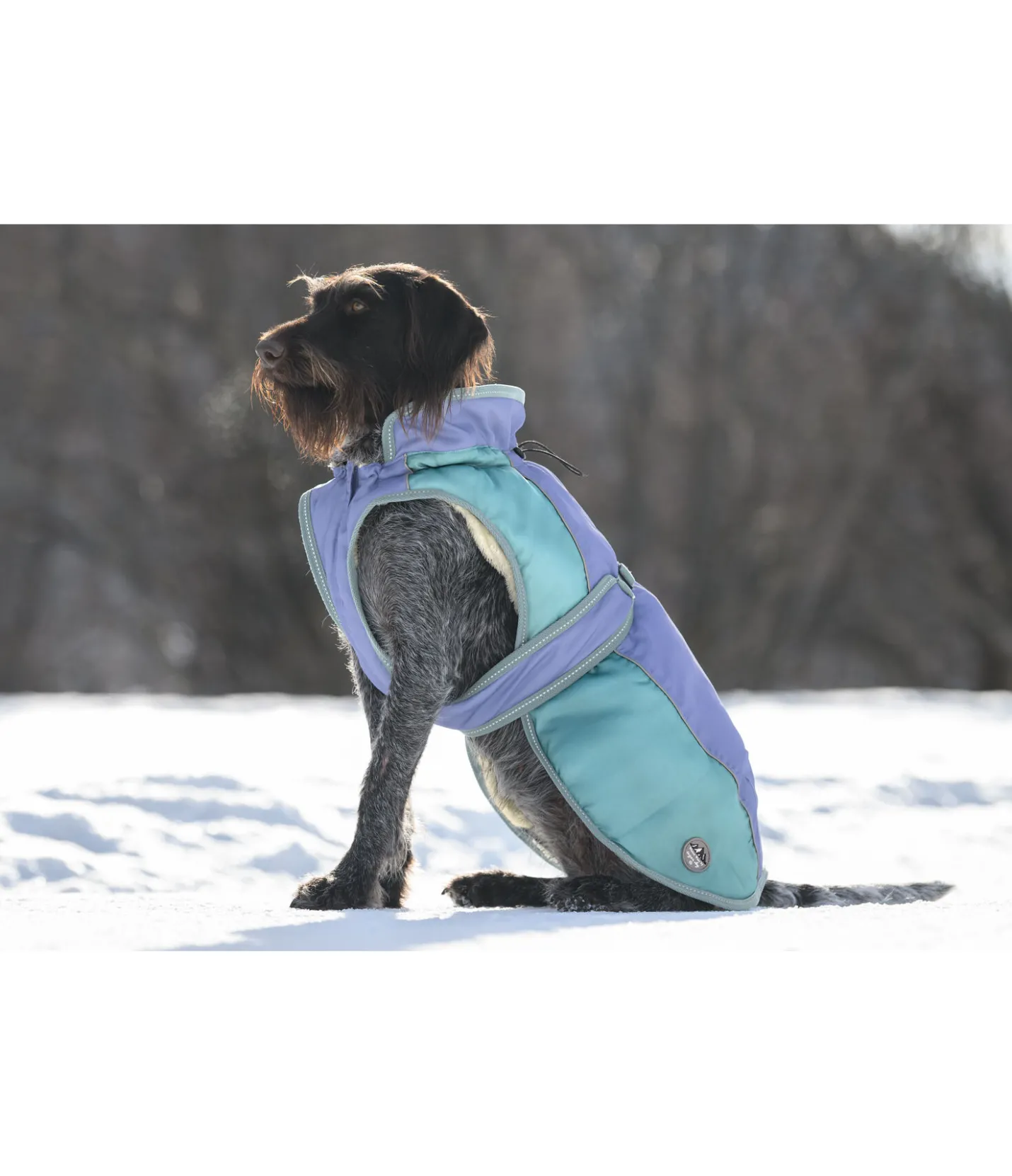 sugar dog Manteau d'hiver pour chien avec doublure en polaire Teddy, 100 g Glacier Bay bleu atlantique Sale