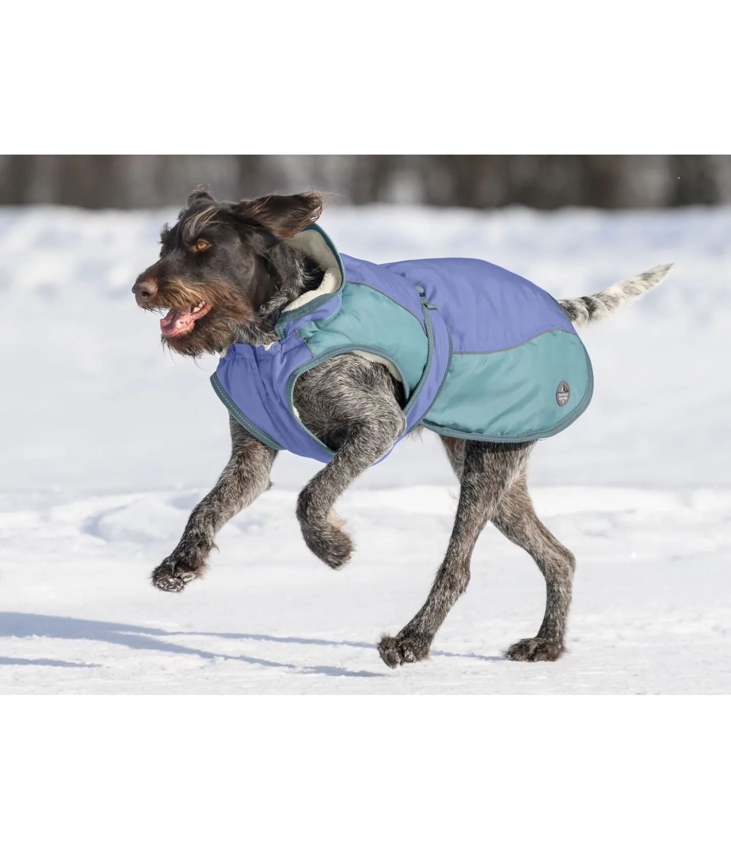 sugar dog Manteau d'hiver pour chien avec doublure en polaire Teddy, 100 g Glacier Bay bleu atlantique Sale