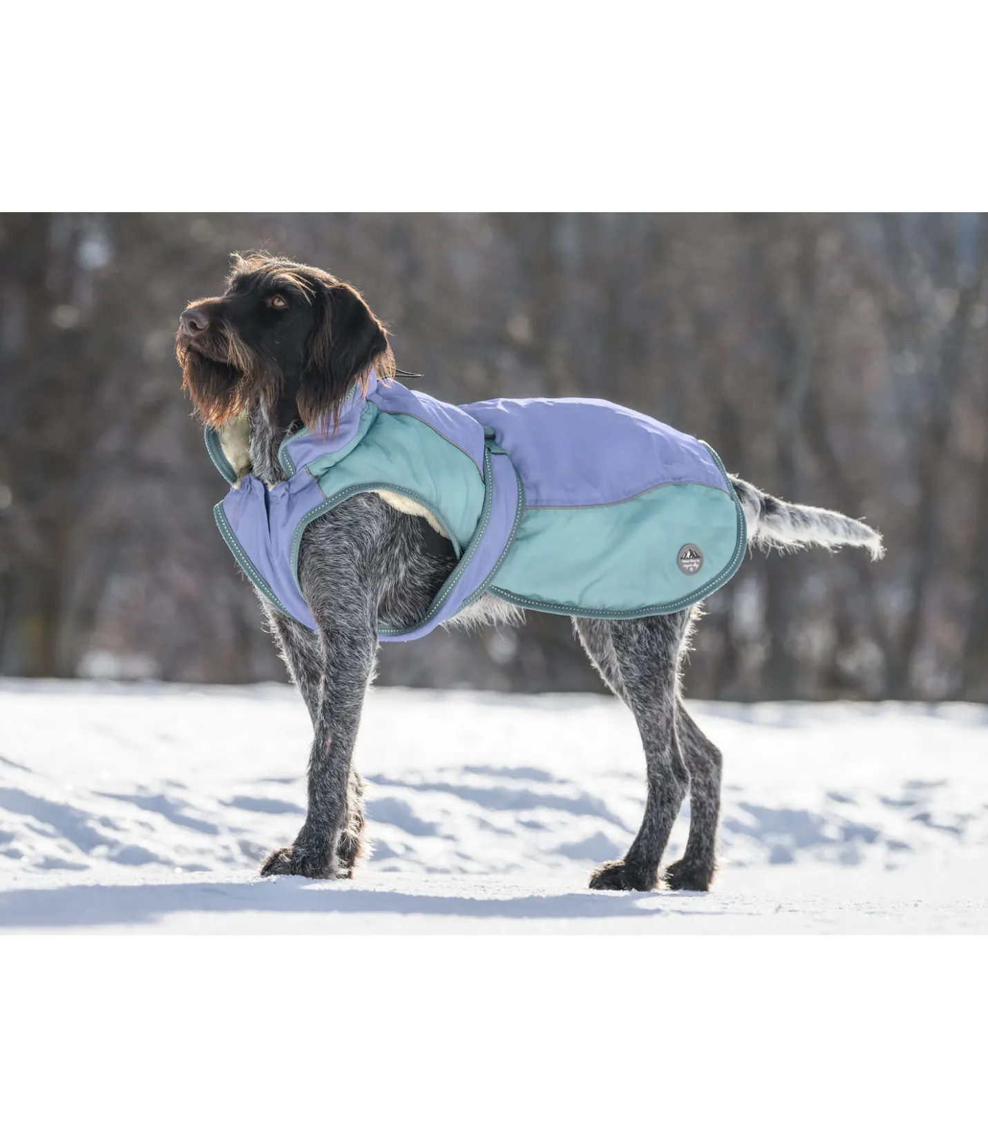 sugar dog Manteau d'hiver pour chien avec doublure en polaire Teddy, 100 g Glacier Bay bleu atlantique Sale