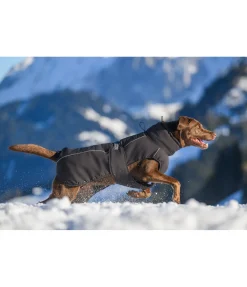 sugar dog Manteau d'hiver pour chien Marlon, 200-300 g noir Online