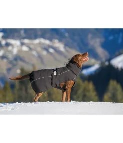 sugar dog Manteau d'hiver pour chien Marlon, 200-300 g noir Online