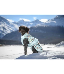 sugar dog Manteau d'hiver pour chien Candy Cane, 120 g bleu hiver Hot