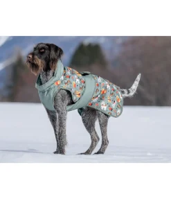 sugar dog Manteau d'hiver pour chien Candy Cane, 120 g matcha foncé Sale