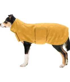 sugar dog Manteau polaire Lino mangue dorée Best