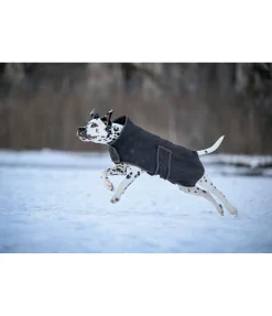 sugar dog Manteau polaire Lino navy Hot