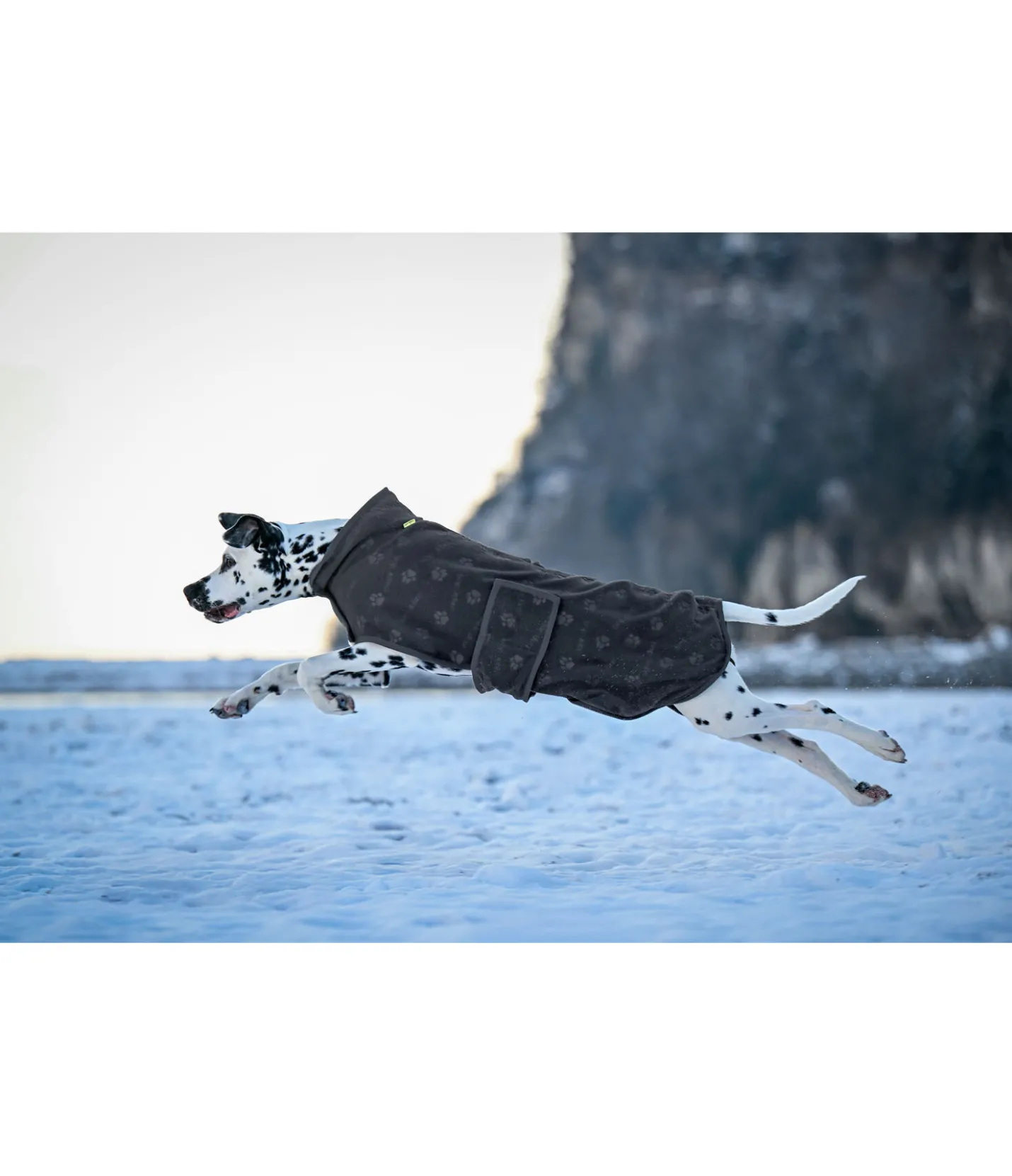 sugar dog Manteau polaire Lino navy Hot