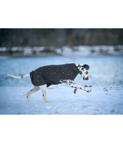 sugar dog Manteau polaire Lino navy Hot