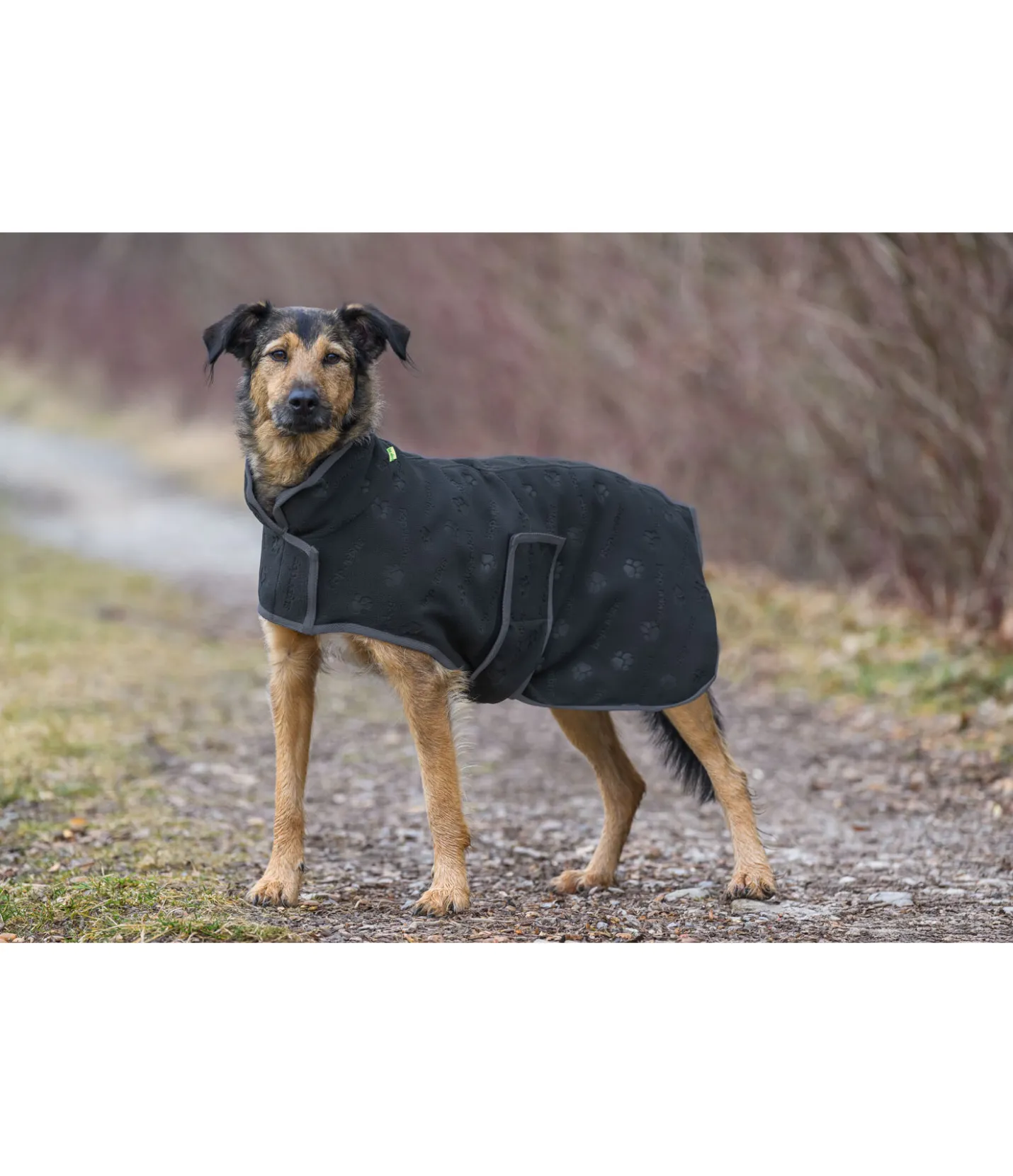 sugar dog Manteau polaire Lino navy Hot