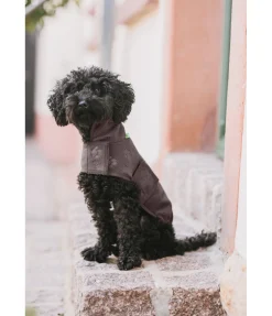 sugar dog Manteau polaire Lino cannelle Hot
