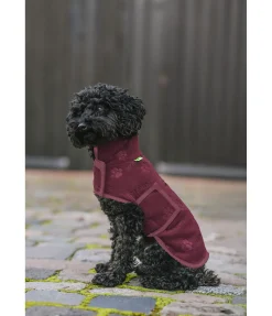 sugar dog Manteau polaire Lino acajou Hot