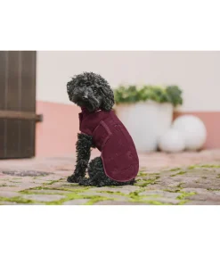sugar dog Manteau polaire Lino acajou Hot