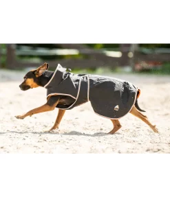 Felix Bühler Manteau pour chien Ceramic Rehab noir Sale