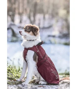 sugar dog Manteau pour chien 2 en 1 Ally acajou Outlet