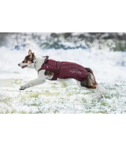 sugar dog Manteau pour chien 2 en 1 Ally acajou Outlet