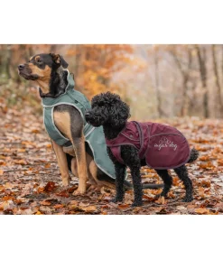 sugar dog Manteau pour chien 2 en 1 Ally acajou Outlet