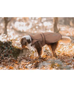 sugar dog Manteau pour chien 2 en 1 Ally gingembre confit Clearance