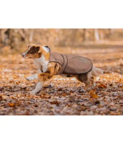 sugar dog Manteau pour chien 2 en 1 Ally gingembre confit Clearance