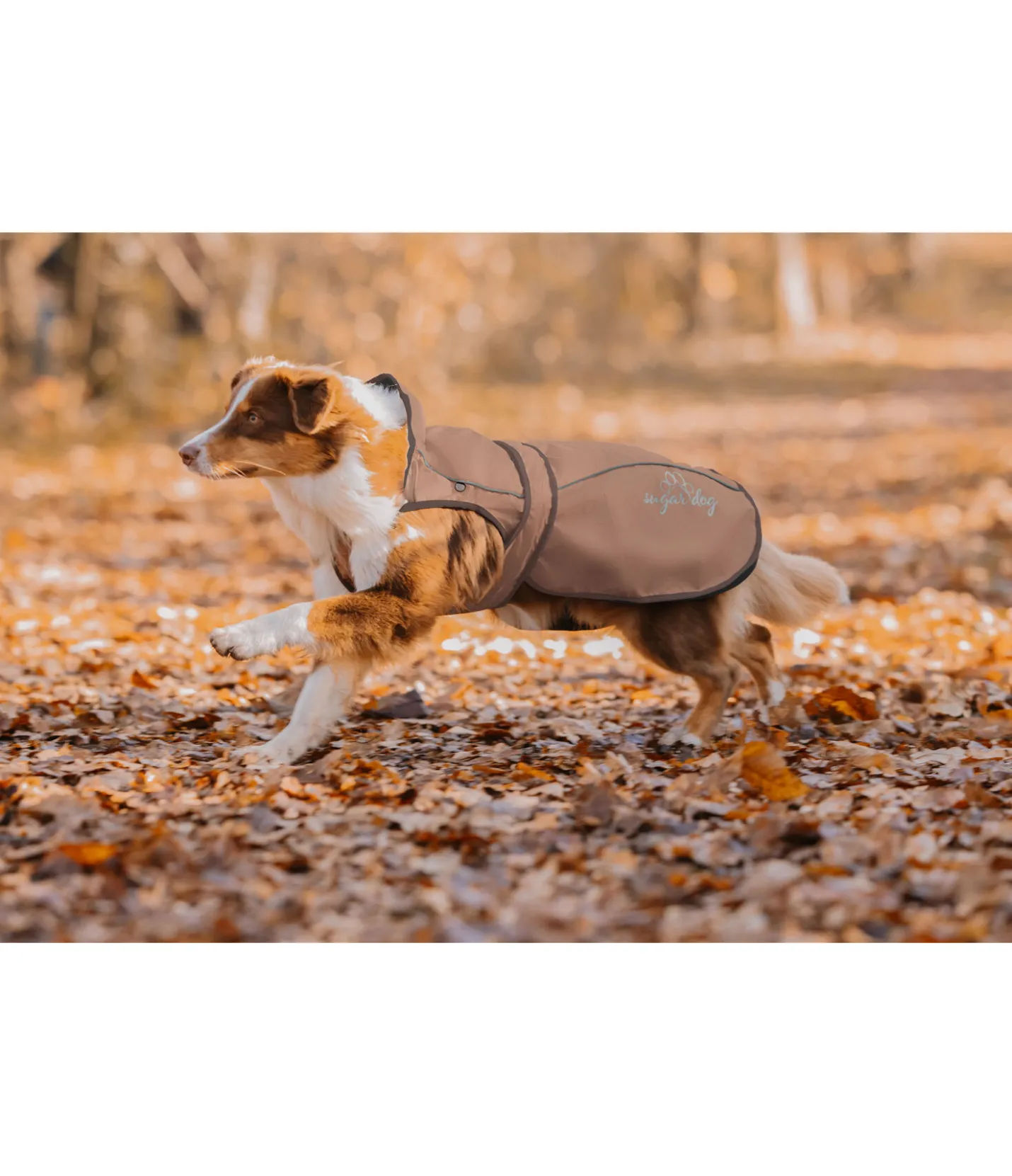 sugar dog Manteau pour chien 2 en 1 Ally gingembre confit Clearance