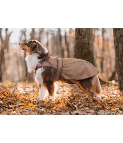 sugar dog Manteau pour chien 2 en 1 Ally gingembre confit Clearance