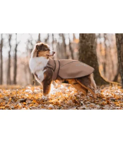 sugar dog Manteau pour chien 2 en 1 Ally gingembre confit Clearance