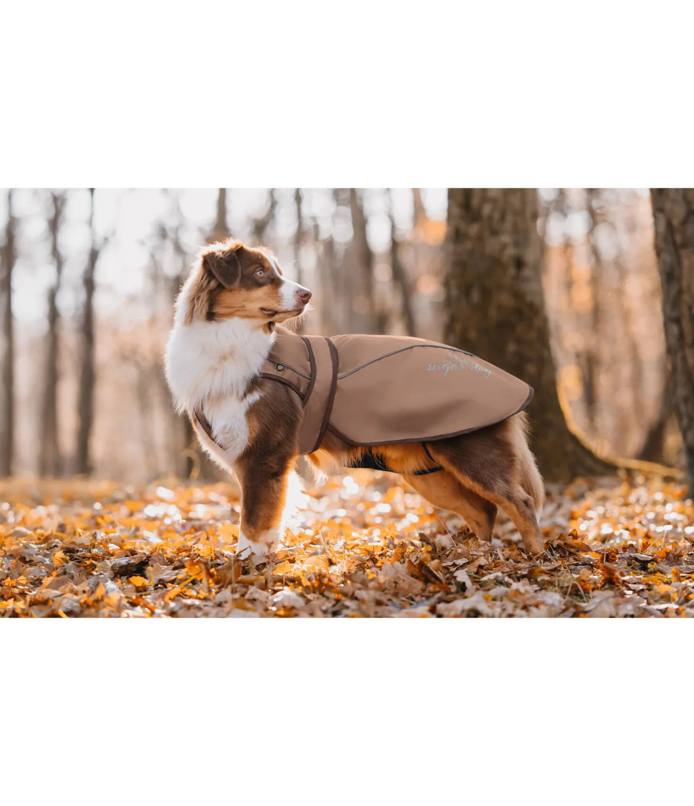 sugar dog Manteau pour chien 2 en 1 Ally gingembre confit Clearance