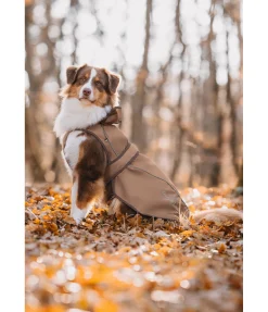 sugar dog Manteau pour chien 2 en 1 Ally gingembre confit Clearance
