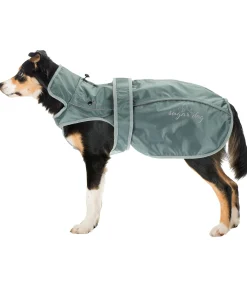 sugar dog Manteau pour chien 2 en 1 Ally matcha foncé Best