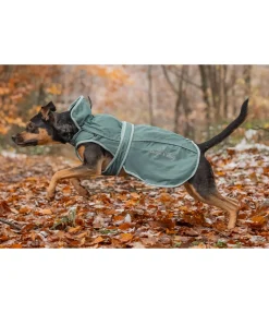sugar dog Manteau pour chien 2 en 1 Ally matcha foncé Best