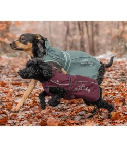 sugar dog Manteau pour chien 2 en 1 Ally matcha foncé Best