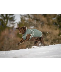 sugar dog Manteau pour chien avec doublure polaire Eddie 200 g origan New