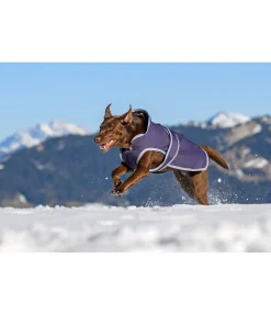 sugar dog Manteau pour chien avec doublure polaire Eddie 200 g violet foncé Online