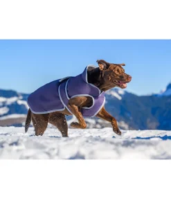 sugar dog Manteau pour chien avec doublure polaire Eddie 200 g violet foncé Online