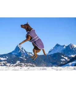 sugar dog Manteau pour chien avec doublure polaire Eddie 200 g violet foncé Online