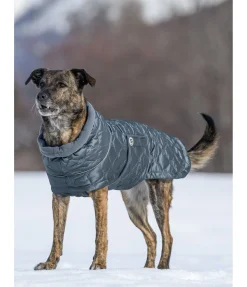 sugar dog Manteau pour chien matelassé avec doublure polaire Cliff, 200 g bleu fumée Hot