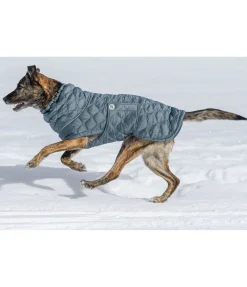 sugar dog Manteau pour chien matelassé avec doublure polaire Cliff, 200 g bleu fumée Hot